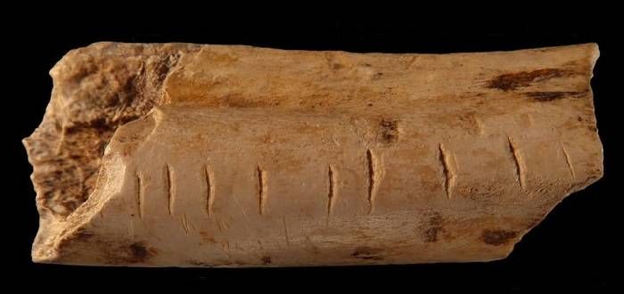 علامت های حک شده روی استخوان توسط نئاندرتال / hyena bone